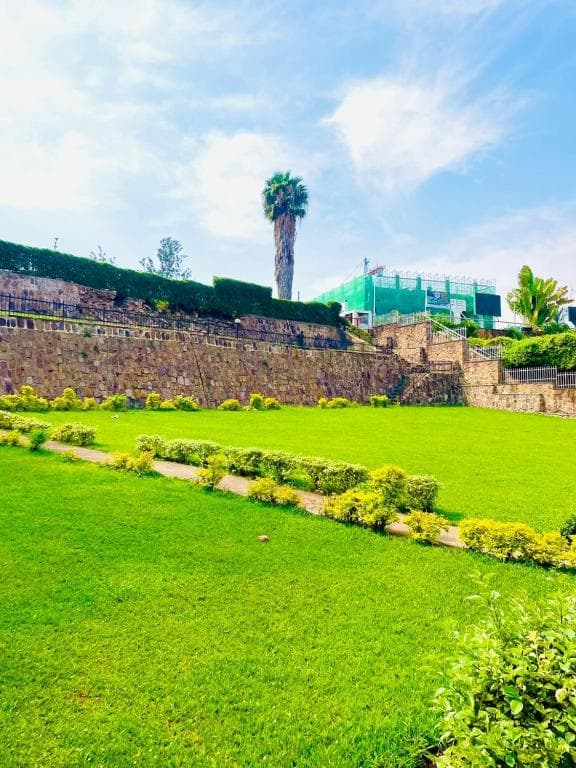 Garden